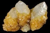 Sunshine Cactus Quartz Crystal Cluster - South Africa #115155-1